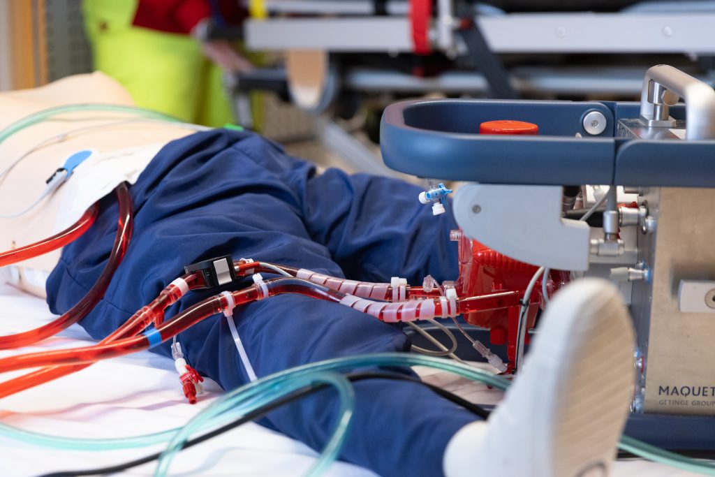 2025 12 krewenka gggg8770 2025 12 krewenka gggg8770