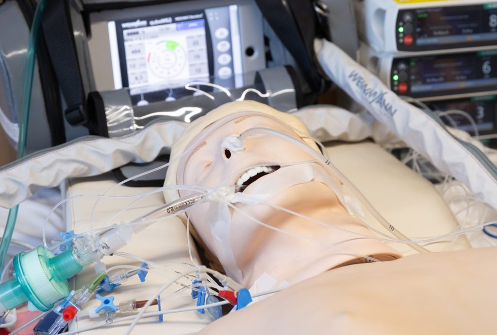 2025 12 krewenka gggg8829