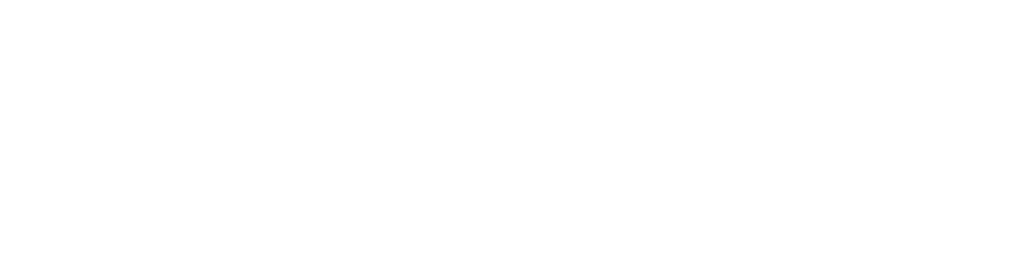 Basic Emergency Situation Training